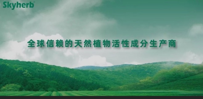多年不懈努力，終獲官方青睞！